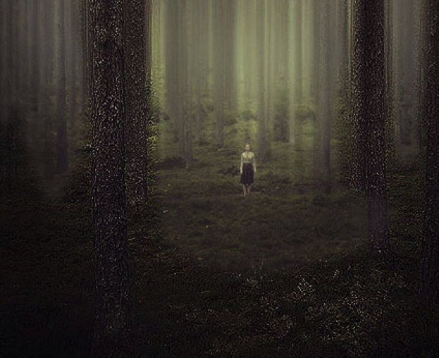 Lost in the Dark Forest