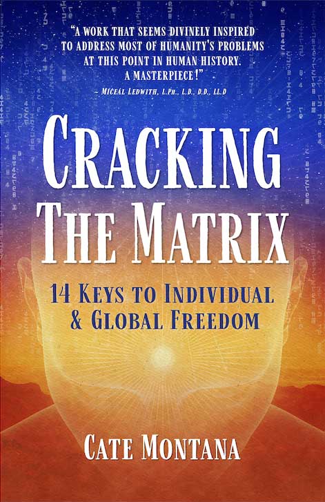 Cracking-the-Matrix